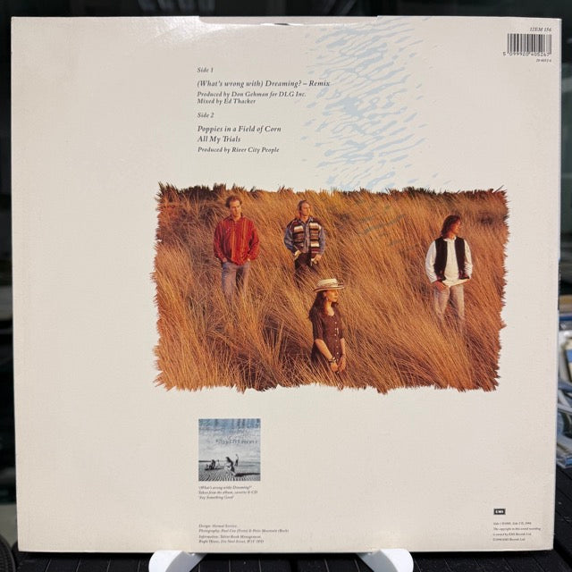 River City People - (What's Wrong With) Dreaming ? - Remix (Maxi)